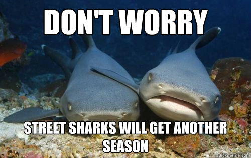 Don't Worry Street sharks will get another season  Compassionate Shark Friend