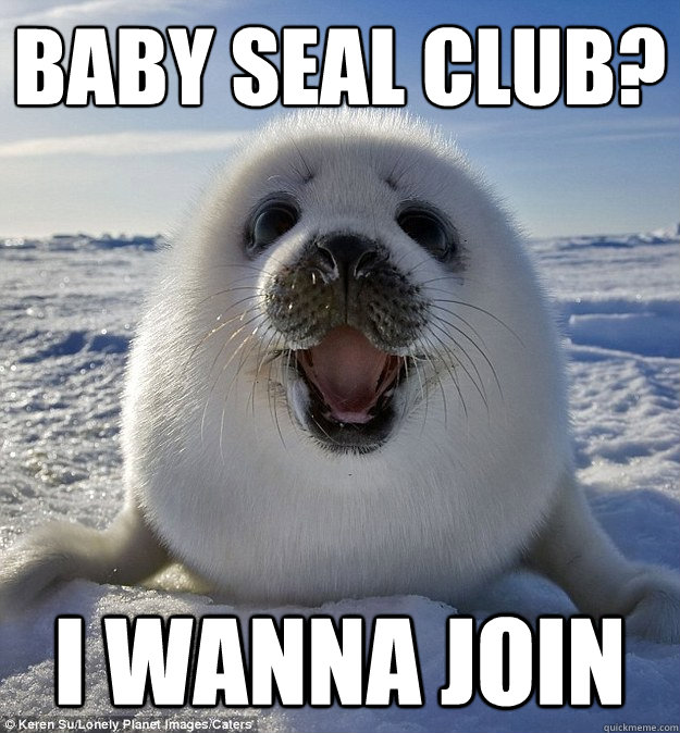 Baby seal club? I wanna join  Easily Pleased Seal