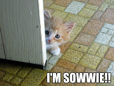 I'M SoWWIE!!   Sorry Cat