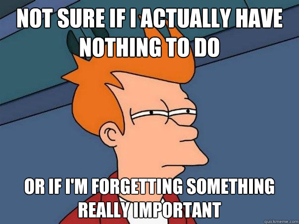 Not sure if I actually have nothing to do Or if I'm forgetting something really important  Futurama Fry