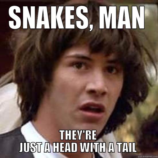 SNAKES, MAN THEY'RE JUST A HEAD WITH A TAIL conspiracy keanu