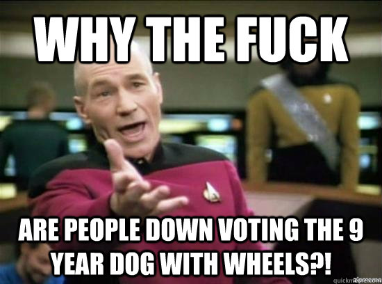 Why the fuck are people down voting the 9 year dog with wheels?!  Annoyed Picard HD