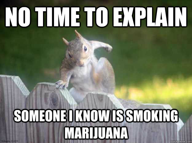 No time to explain Someone i know is smoking marijuana  