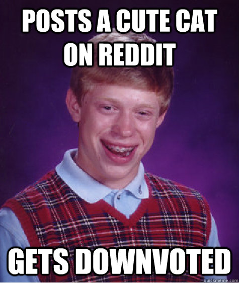 Posts a cute cat on reddit  gets downvoted  Bad Luck Brian