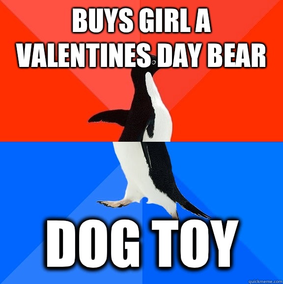 Buys girl a valentines day bear Dog toy  Socially Awesome Awkward Penguin