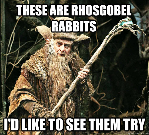 These are rhosgobel rabbits i'd like to see them try - These are rhosgobel rabbits i'd like to see them try  Radagast