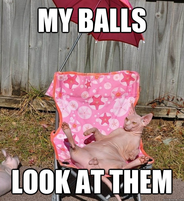 My balls Look at them.