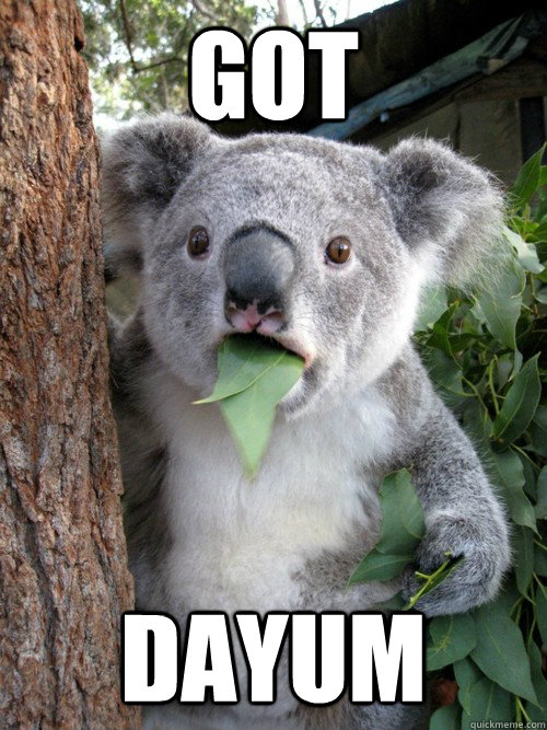 got dayum - got dayum  Disbelief Koala