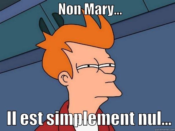                       NON MARY...                        IL EST SIMPLEMENT NUL... Futurama Fry