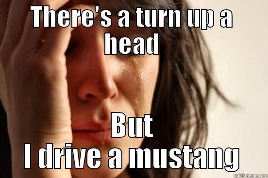 THERE'S A TURN UP A HEAD BUT I DRIVE A MUSTANG First World Problems