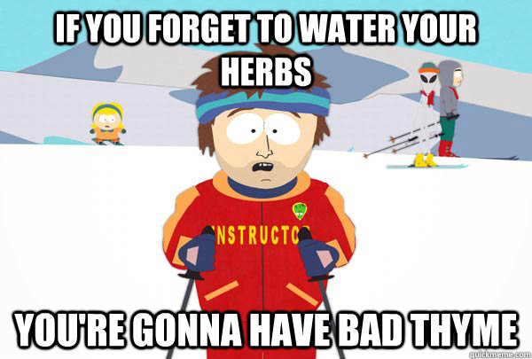 If you forget to water your herbs You're gonna have bad thyme  Super Cool Ski Instructor