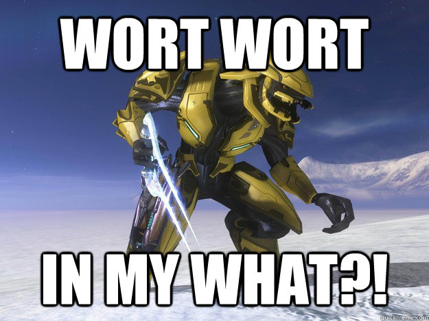 WORT WORT In my WHAT?!  Halo Elite