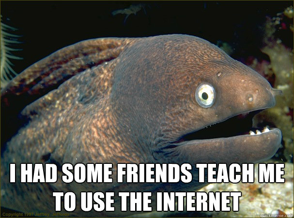  I had some friends teach me to use the internet  Bad Joke Eel