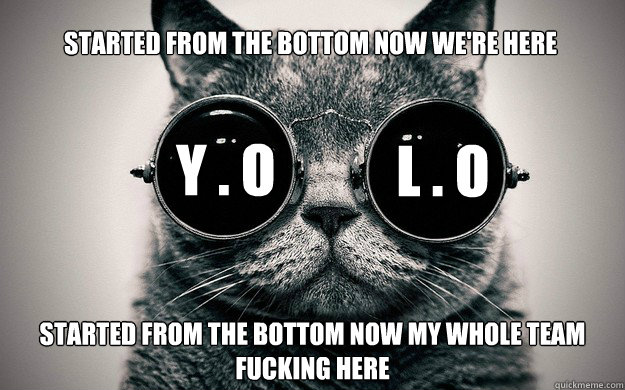 Started from the bottom now my whole team fucking here Started from the bottom now we're here Y . O L . O  Morpheus Cat Facts