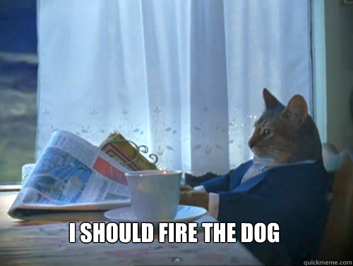  I should fire the dog -  I should fire the dog  The One Percent Cat