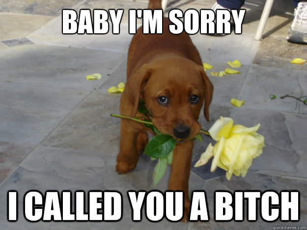 Baby I'm sorry I called you a bitch  Sorry Dog