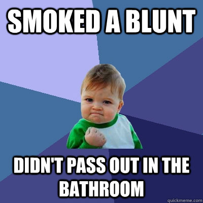 Smoked a blunt Didn't pass out in the bathroom  Success Kid
