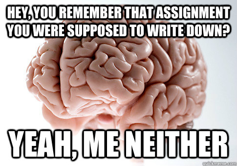 hey, you remember that assignment you were supposed to write down? yeah, me neither  Scumbag Brain