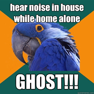 hear noise in house while home alone GHOST!!!  Paranoid Parrot