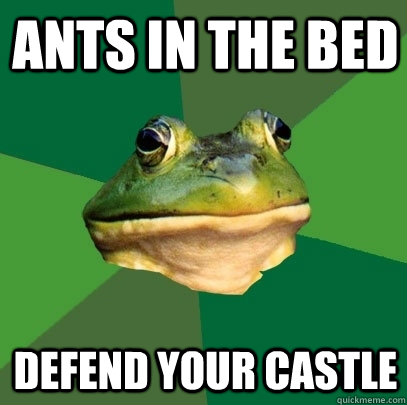 Ants in the bed Defend your castle  Foul Bachelor Frog