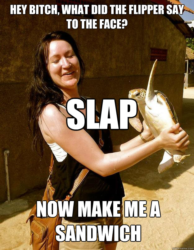Hey bitch, what did the flipper say to the face? slap Now make me a sandwich  Domestic Violence Turtle