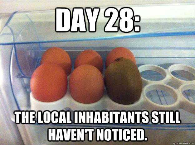 Day 28: The local inhabitants still haven't noticed.  ninja kiwi