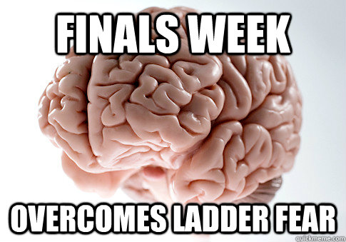 FINALS WEEK OVERCOMES LADDER FEAR  - FINALS WEEK OVERCOMES LADDER FEAR   Scumbag Brain