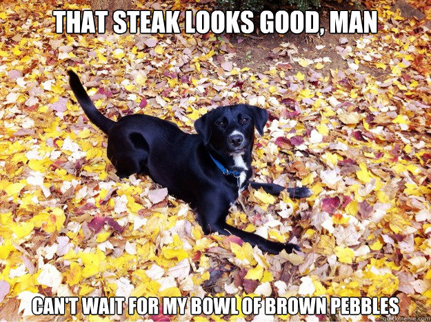 That steak looks good, man Can't wait for my bowl of brown pebbles  