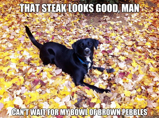 That steak looks good, man Can't wait for my bowl of brown pebbles - That steak looks good, man Can't wait for my bowl of brown pebbles  Guilt Giving Good Dog