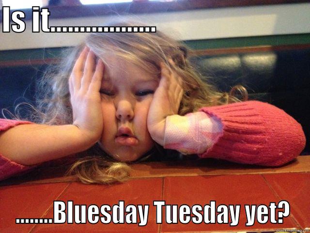 Bluesday Ad - IS IT..................                            ........BLUESDAY TUESDAY YET? Misc