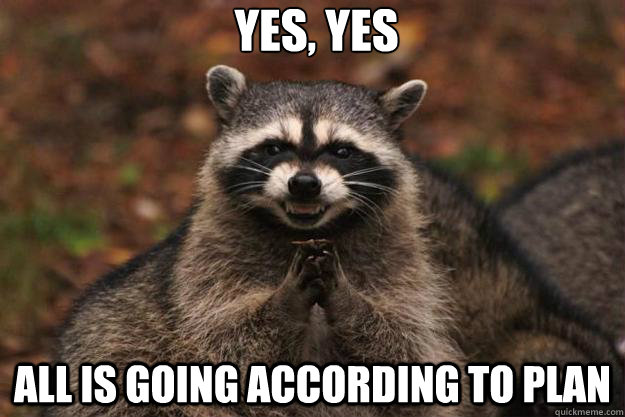 YES, YES all is going according to plan   Evil Plotting Raccoon