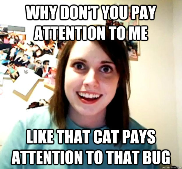 Why don't you pay attention to me Like that cat pays attention to that bug  Overly Attached Girlfriend