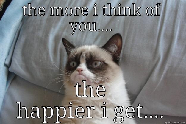 THE MORE I THINK OF YOU.... THE HAPPIER I GET.... Grumpy Cat