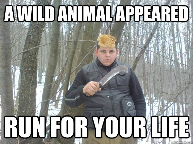 A wild animal appeared Run for your life - A wild animal appeared Run for your life  Snorlax