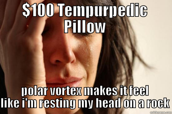 $100 TEMPURPEDIC PILLOW POLAR VORTEX MAKES IT FEEL LIKE I'M RESTING MY HEAD ON A ROCK First World Problems