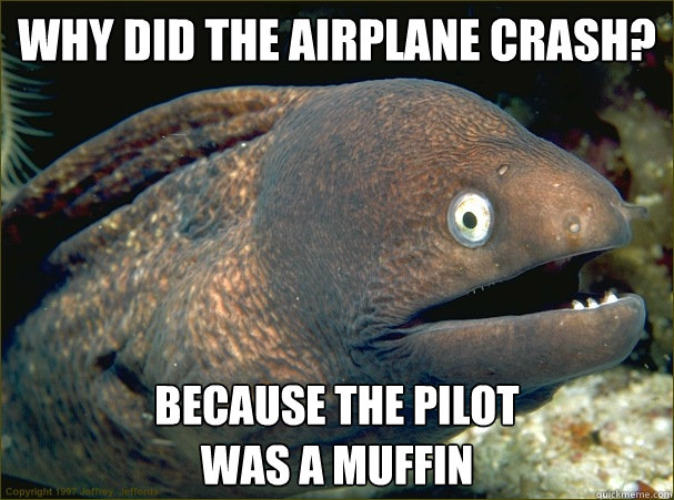 Why did the airplane crash? because the pilot 
was a muffin  Bad Joke Eel