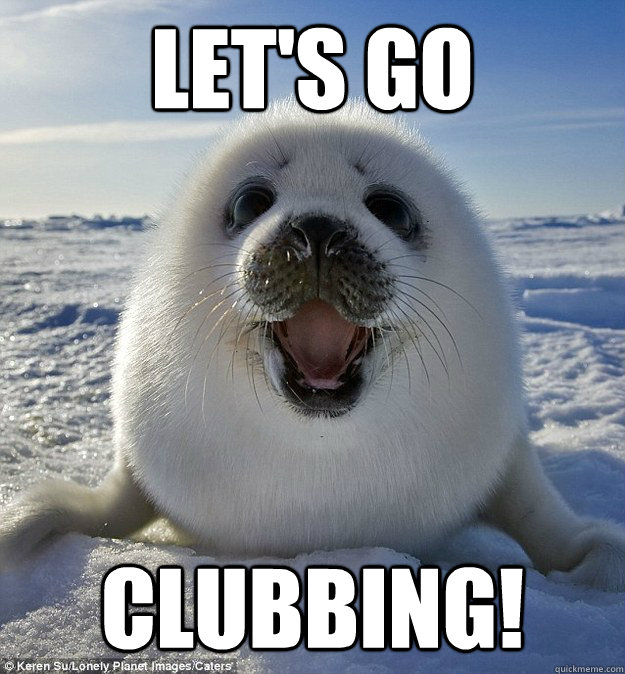 Let's go clubbing!  Easily Pleased Seal