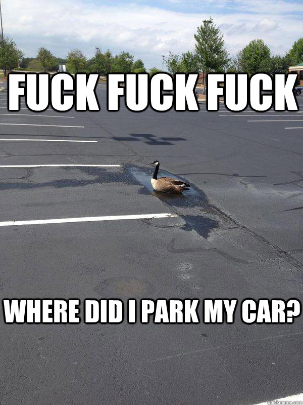 Fuck fuck fuck Where did I park my car? - Fuck fuck fuck Where did I park my car?  Optimistic Goose