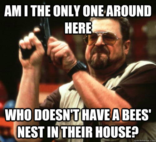 Am i the only one around here who doesn't have a bees' nest in their house?  Am I The Only One Around Here