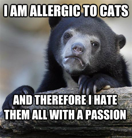 I am allergic to cats and therefore I hate them all with a passion - I am allergic to cats and therefore I hate them all with a passion  Confession Bear