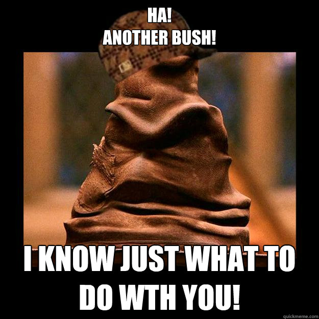 HA!
ANOTHER BUSH! I KNOW JUST WHAT TO DO WTH YOU! - HA!
ANOTHER BUSH! I KNOW JUST WHAT TO DO WTH YOU!  Scumbag sorting hat