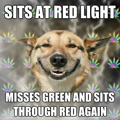 sits at red light misses green and sits through red again  Stoner Dog
