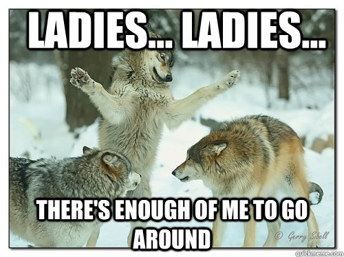 Ladies... ladies... there's enough of me to go around  