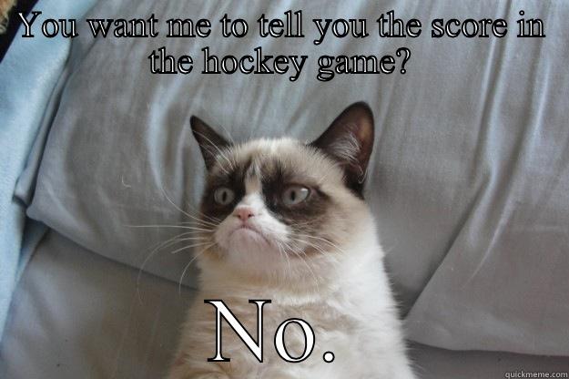 YOU WANT ME TO TELL YOU THE SCORE IN THE HOCKEY GAME? NO. Grumpy Cat