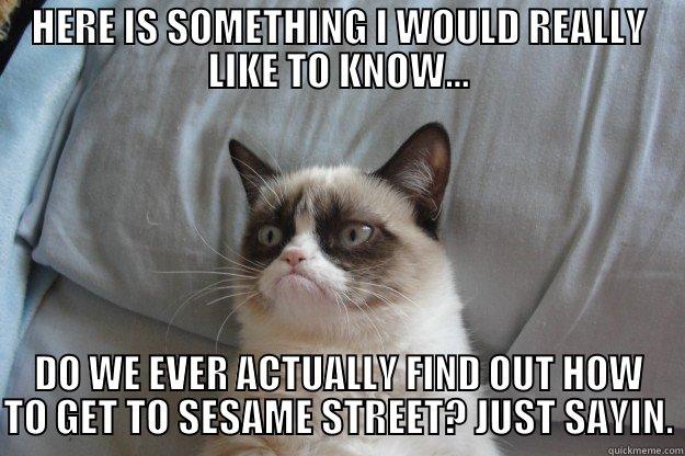 HERE IS SOMETHING I WOULD REALLY LIKE TO KNOW... DO WE EVER ACTUALLY FIND OUT HOW TO GET TO SESAME STREET? JUST SAYIN. Grumpy Cat