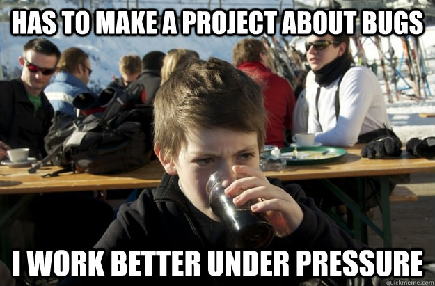 has to make a project about bugs I work better under pressure  - has to make a project about bugs I work better under pressure   Lazy Elementary School Kid