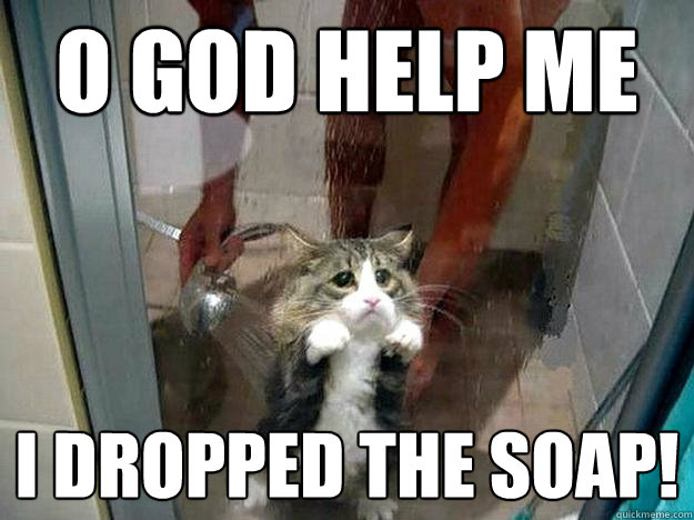 o god help me i dropped the soap! - o god help me i dropped the soap!  Shower kitty