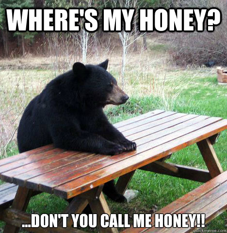Where's my Honey? ...don't you call me Honey!!  waiting bear