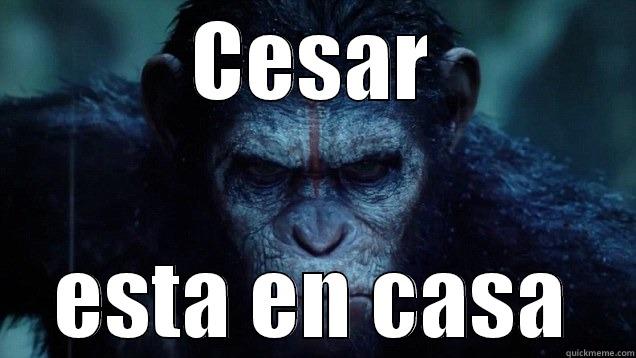 CESAR ESTA EN CASA Misc