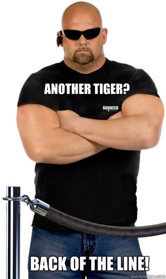 Another Tiger? Back of the line!  rnew Bouncer